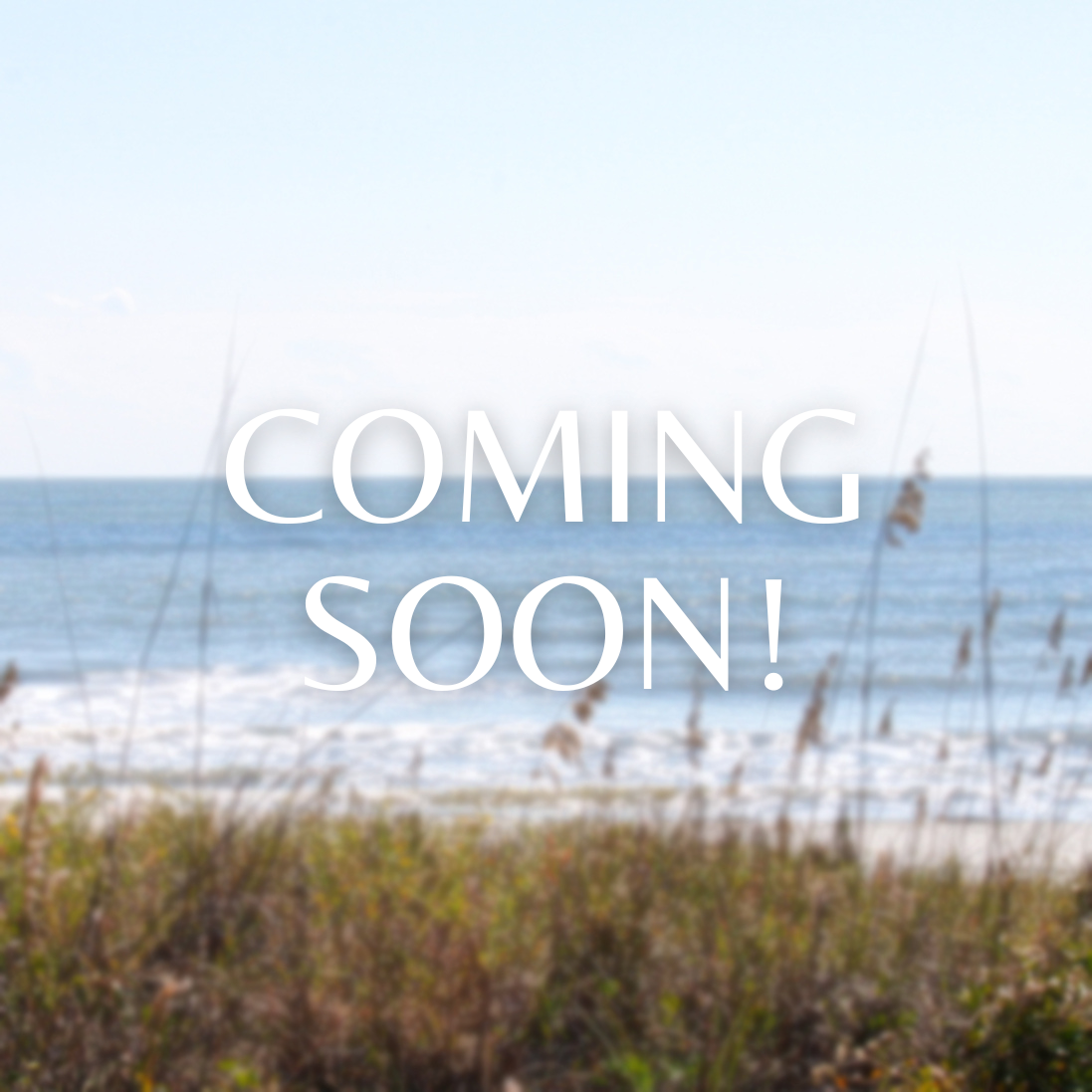 Staff member Cambria